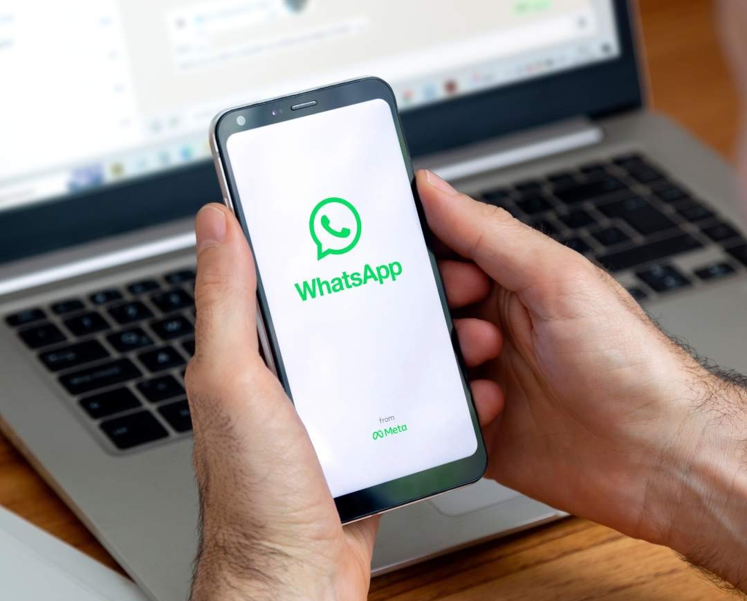 Entre em contato pelo WhatsApp
